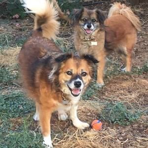 Meet your Posher, Kellie